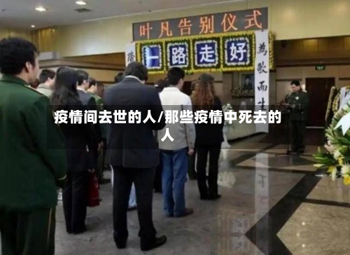 疫情间去世的人/那些疫情中死去的人
