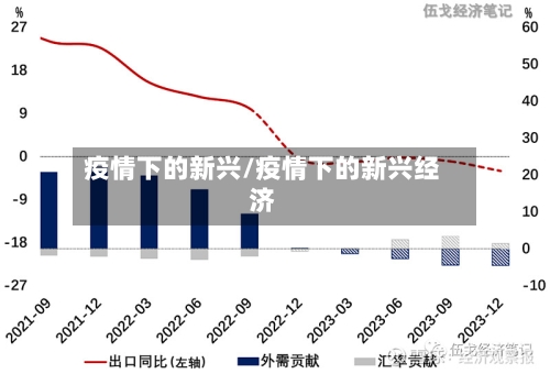 疫情下的新兴/疫情下的新兴经济