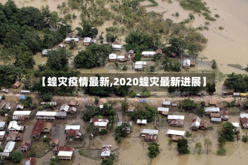 【蝗灾疫情最新,2020蝗灾最新进展】
