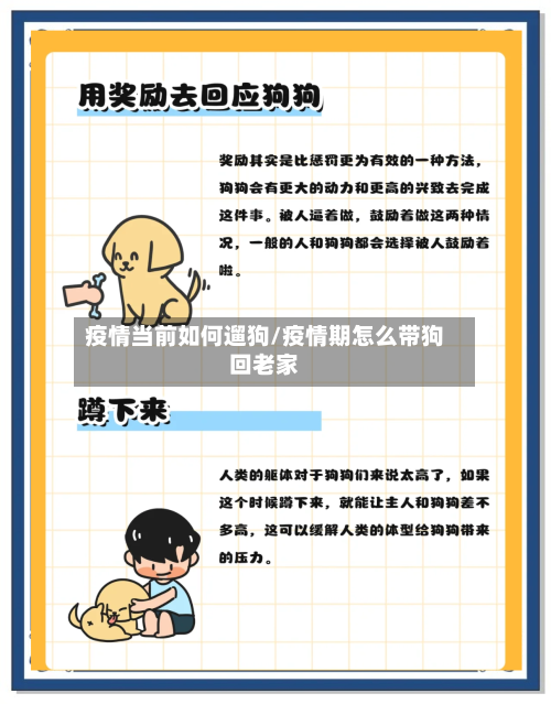 疫情当前如何遛狗/疫情期怎么带狗回老家-第2张图片