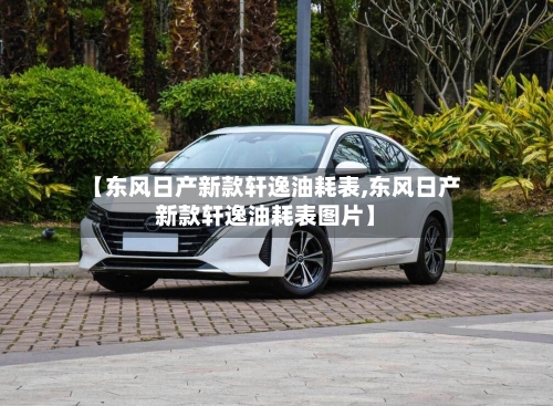 【东风日产新款轩逸油耗表,东风日产新款轩逸油耗表图片】
