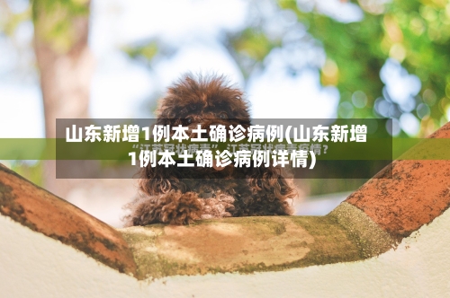 山东新增1例本土确诊病例(山东新增1例本土确诊病例详情)