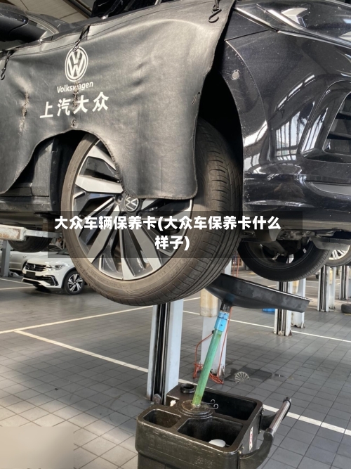 大众车辆保养卡(大众车保养卡什么样子)-第3张图片