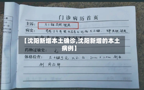 【沈阳新增本土确诊,沈阳新增的本土病例】