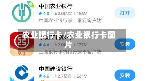 农业银行卡/农业银行卡图片