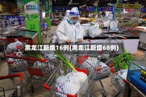 黑龙江新增16例(黑龙江新增68例)-第3张图片