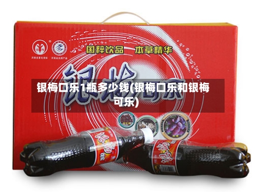 银梅口乐1瓶多少钱(银梅口乐和银梅可乐)-第3张图片