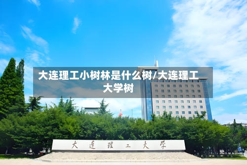 大连理工小树林是什么树/大连理工大学树-第2张图片