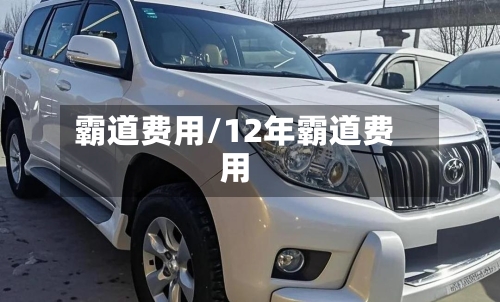 霸道费用/12年霸道费用-第2张图片
