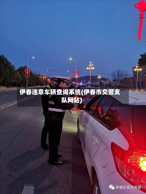 伊春违章车辆查询系统(伊春市交警支队网站)