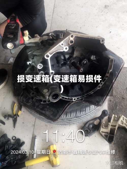 损变速箱(变速箱易损件)-第2张图片