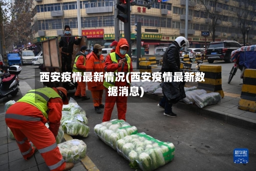 西安疫情最新情况(西安疫情最新数据消息)-第2张图片