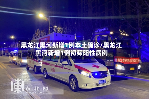 黑龙江黑河新增1例本土确诊/黑龙江黑河新增1例初筛阳性病例-第3张图片