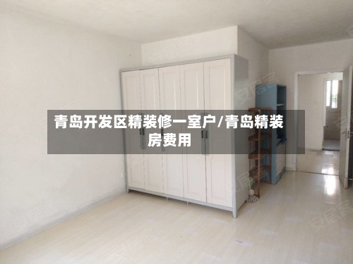 青岛开发区精装修一室户/青岛精装房费用-第2张图片