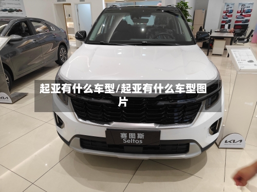 起亚有什么车型/起亚有什么车型图片-第2张图片