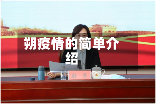 朔疫情的简单介绍