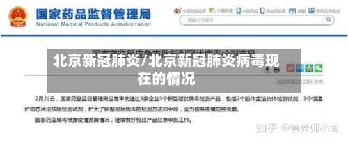北京新冠肺炎/北京新冠肺炎病毒现在的情况