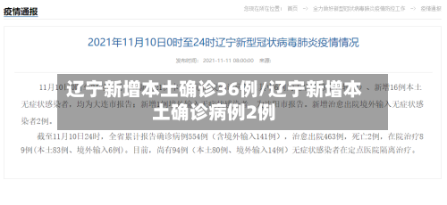 辽宁新增本土确诊36例/辽宁新增本土确诊病例2例-第2张图片