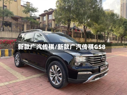 新款广汽传祺/新款广汽传祺GS8-第2张图片