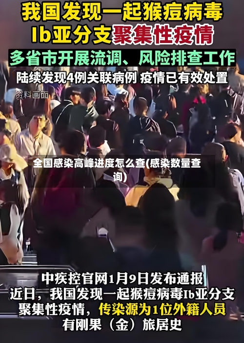 全国感染高峰进度怎么查(感染数量查询)
