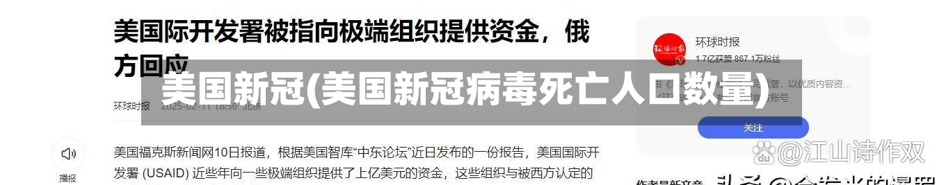 美国新冠(美国新冠病毒死亡人口数量)