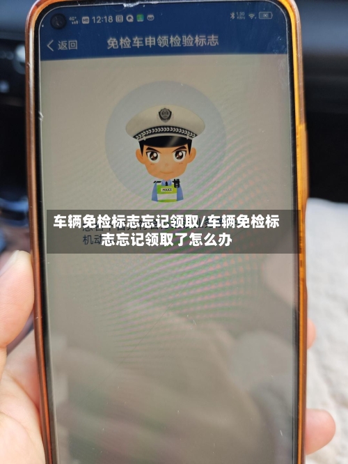 车辆免检标志忘记领取/车辆免检标志忘记领取了怎么办-第3张图片