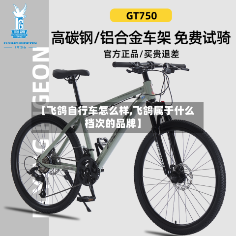 【飞鸽自行车怎么样,飞鸽属于什么档次的品牌】-第3张图片