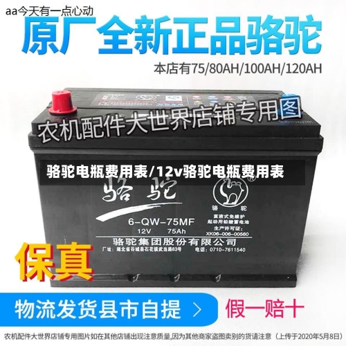 骆驼电瓶费用表/12v骆驼电瓶费用表-第2张图片