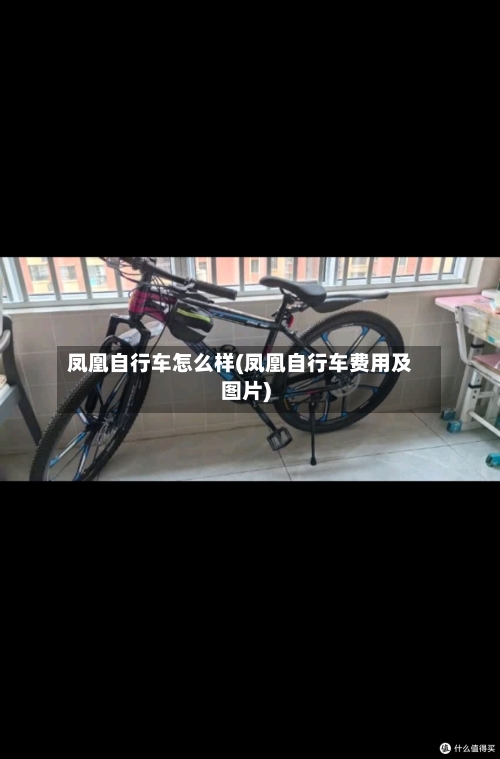 凤凰自行车怎么样(凤凰自行车费用及图片)-第2张图片