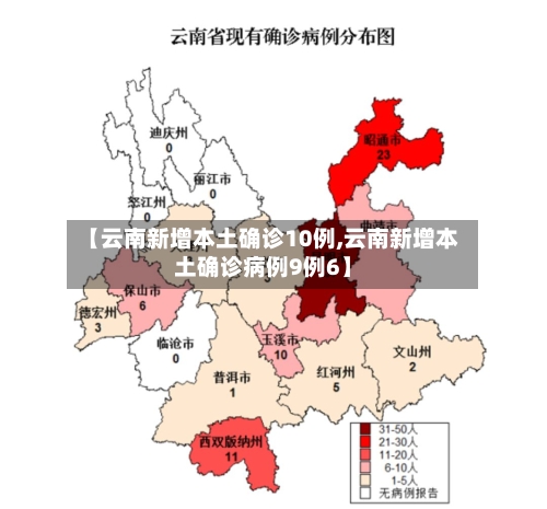 【云南新增本土确诊10例,云南新增本土确诊病例9例6】-第2张图片