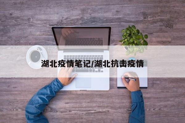 湖北疫情笔记/湖北抗击疫情
