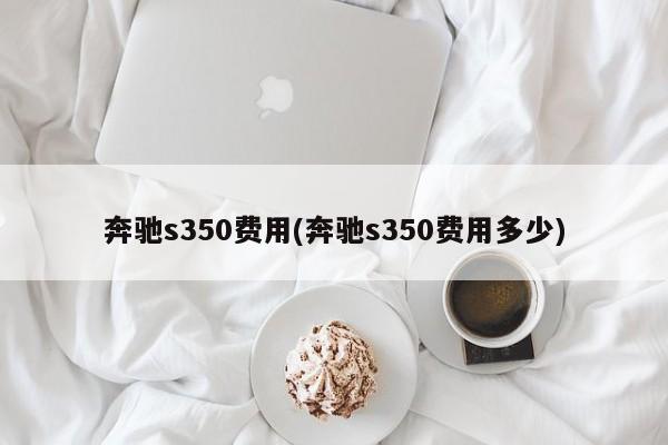 奔驰s350费用(奔驰s350费用多少)